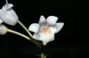 DSC_6267.jpg